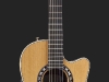 ovation_lx1773.jpg